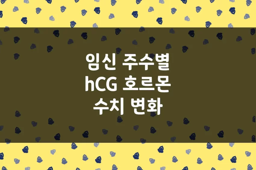 hCG 호르몬 - 임신 피검사 주수별 농도 수치 변화 및 임신 확인