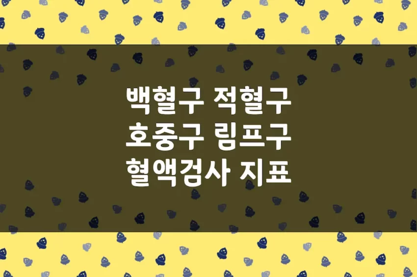 백혈구수, 호중구, 적혈구수 등 혈액검사 결과 의미 및 정상수치