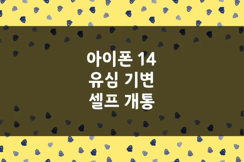 아이폰 14 유심 기변 방법 (자급제폰 셀프 개통 기기변경 유심 교체) (6)