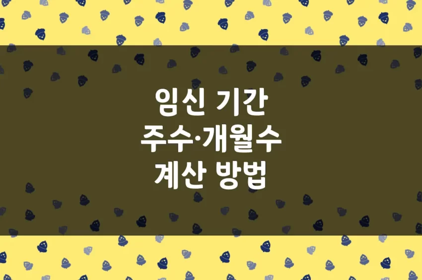 임신 주수·개월수 계산 방법, 임신 기간 며칠, 몇 주, 몇 개월