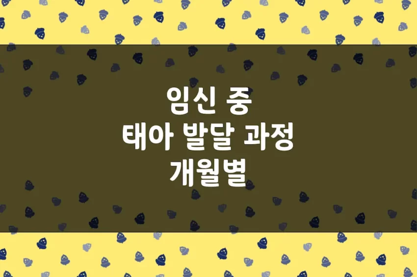 임신 중 태아 발달 과정 (임신 초기, 중기, 후기 개월별 발달 특징)