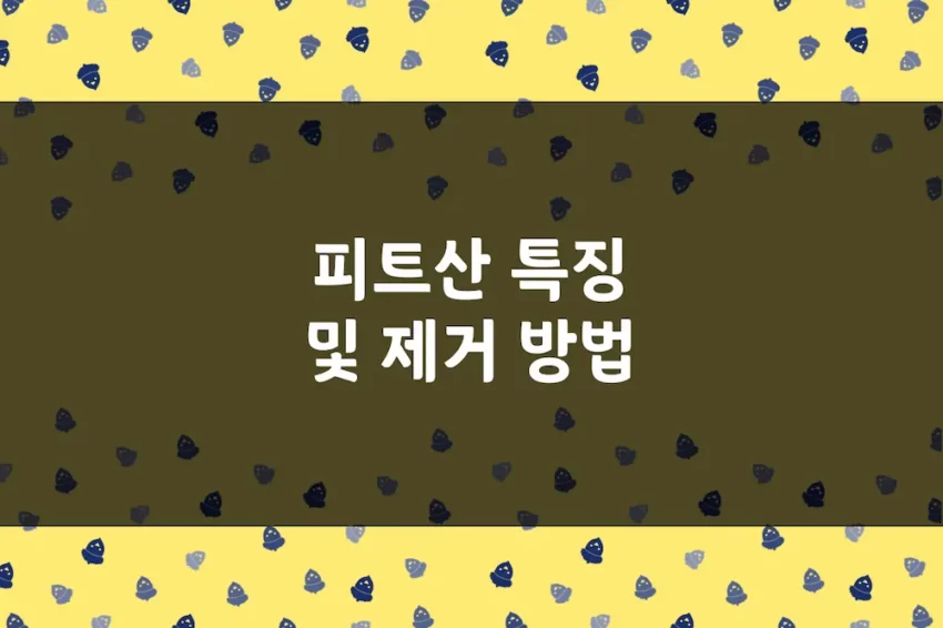 피트산 제거 방법, 역할, 분해 효소, 함유 식품 및 식품별 함유량