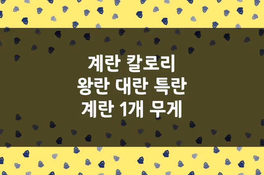 계란 칼로리, 삶은 계란 1개 칼로리 및 무게 g, 대란 특란 왕란 차이