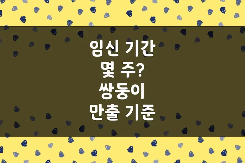 임신 기간 몇 주, 몇 개월, 쌍둥이 세쌍둥이 만출 예정일 기준