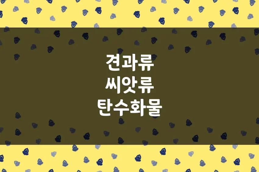 견과류 및 씨앗류 탄수화물 함유량