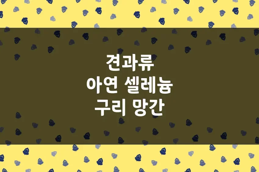 견과류 아연, 셀레늄, 구리, 망간, 몰리브덴 함유량