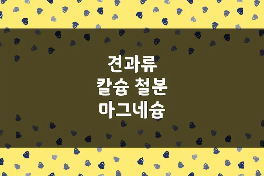 견과류 칼슘, 철분, 마그네슘, 인, 엽산, 비타민 E 함유량