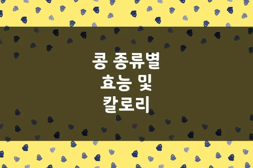 병아리콩 효능, 녹두, 검은콩, 메주콩, 렌틸콩, 완두콩 등 콩 효능