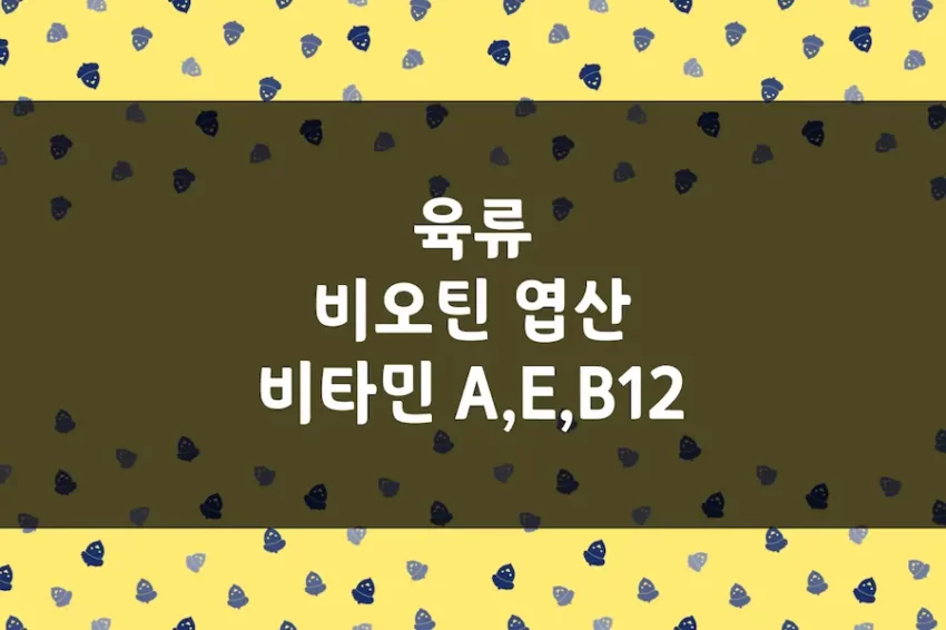 돼지고기 비오틴, 닭고기 소고기 비타민 A, E, B12, 엽산 함유량