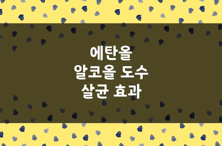 알콜 소독 효과, 에탄올 알코올 도수 살균 작용, 주정 담금주 도수