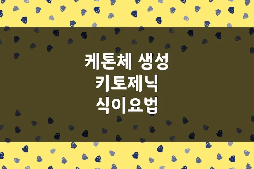 키토제닉 식단, 저탄고지 다이어트, 케톤체 생성 식이요법 특징