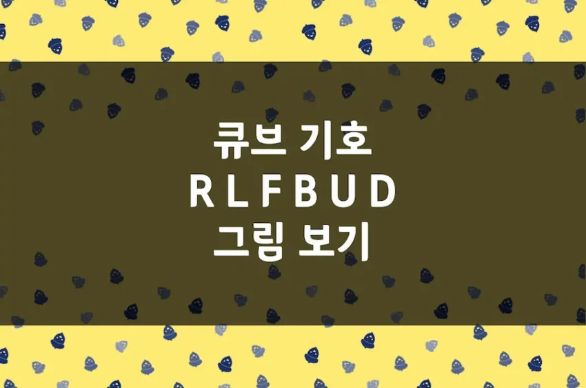 큐브 기호 R, L, F, B, U, D 방향 그림 확인 (22 큐브, 33 큐브)