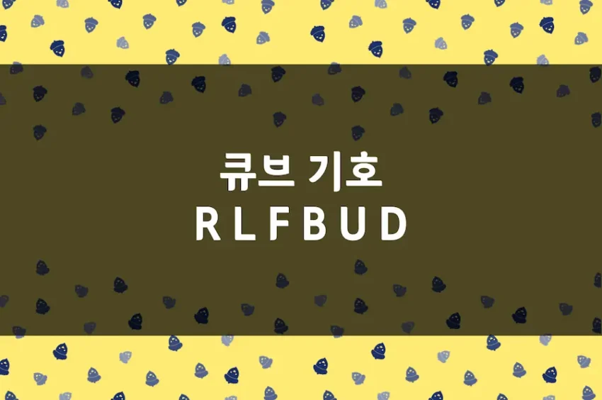 큐브 공식 기호 표기법 R, L, F, B, U, D (22 큐브)