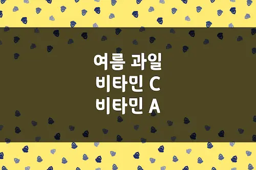 여름 과일 비타민 C, 비타민 A, 비타민 E 함유량