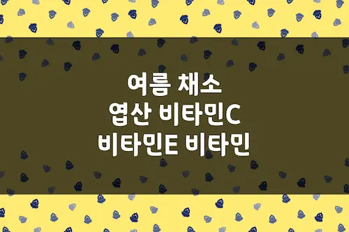 여름 채소 엽산, 비타민 C, 비타민 E, 비타민 K 함유량