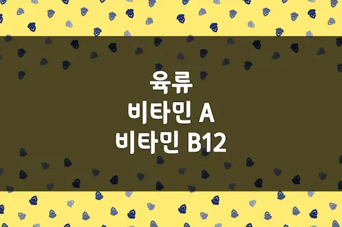 육류 비타민 A, 비타민 B12 함유량 (돼지, 소, 닭고기 등)