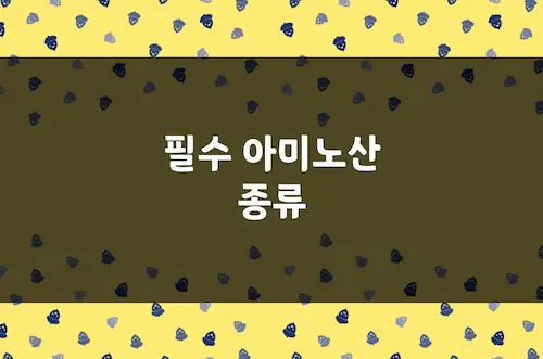 필수 아미노산 종류, 단백질 구성, 체중 기준 단백질 섭취량