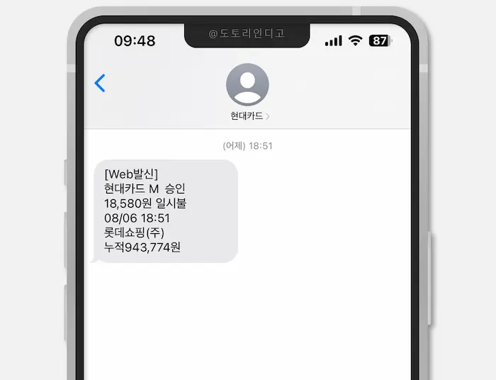 결제 문자
