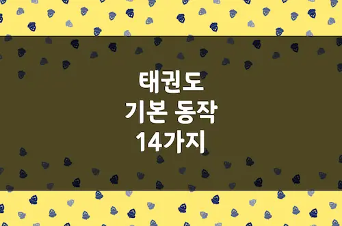 태권도 기본 동작 14가지
