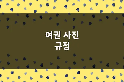 여권 사진 크기, 온라인 파일 해상도, 얼굴 표정, 안경 등 여권 사진
