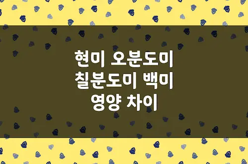 현미 오분도미 칠분도미 백미 차이, 단백질 탄수화물 등 영양소 함유량