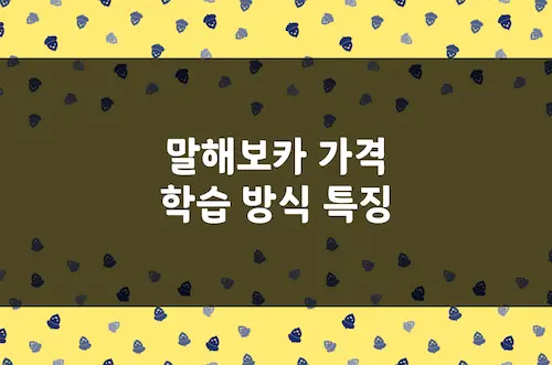 말해보카 가격, 학생 할인 적용 방법, 학습 방식, 레벨 테스트 등 특징