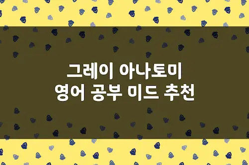 그레이 아나토미 영어 공부 미드 추천, 일상 및 의료 영어 의학 드라마
