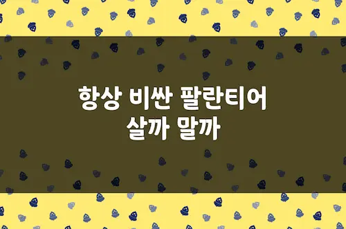 팔란티어 투자, AI붐 타고 항상 비싼 주식, 사야 하나 말아야 하나 (PLTR)