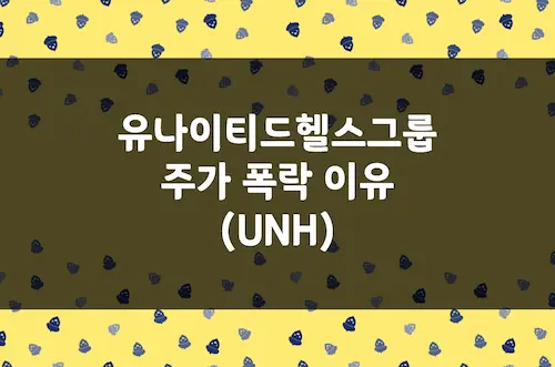 유나이티드 헬스 그룹 주가 폭락 이유, 저점 매수 기회일까 (UNH)