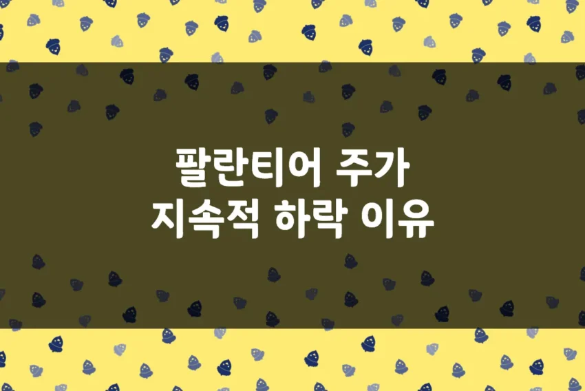 팔란티어 주가 하락 이유, 왜 역대급 실적에도 계속 추락하나 (PLTR)