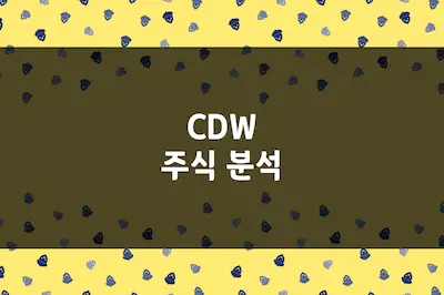 CDW 주가, 종합 IT 솔루션 시장 1위 멀티 브랜드 기술 공급업체 (CDW)