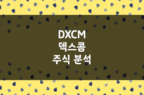 덱스콤 주가 전망, 혈당 측정기 선도 글로벌 의료기기 기업 (DXCM)