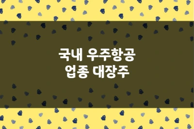 우주항공 업종 대장주, 한화에어로스페이스, 한국항공우주, 한화시스템